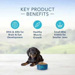 Blue Buffalo Life Protection Formula Small Breed Puppy Chicken & Oatmeal Recipe Dry Dog Food -Cheap Blue Life Protection || Charming Pet || Cobalt Aquatics Store 46906 PT3. SY630 V1636149453