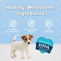 Blue Buffalo Blue Bits Tempting Turkey Recipe Soft-Moist Training Dog Treats 12 Blue Buffalo Blue Bits Tempting Turkey Recipe Soft-Moist Training Dog Treats -Cheap Blue Life Protection || Charming Pet || Cobalt Aquatics Store 46938 PT4. SY630 V1558122126