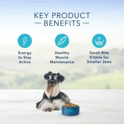 Blue Buffalo Life Protection Formula Small Breed Senior Chicken & Brown Rice Recipe Dry Dog Food -Cheap Blue Life Protection || Charming Pet || Cobalt Aquatics Store 51901 PT4. SY630 V1636146468