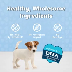 Blue Buffalo Blue Bits Savory Salmon Recipe Soft-Moist Training Dog Treats 14 Blue Buffalo Blue Bits Savory Salmon Recipe Soft-Moist Training Dog Treats -Cheap Blue Life Protection || Charming Pet || Cobalt Aquatics Store 64614 PT6. SY630 V1601539554