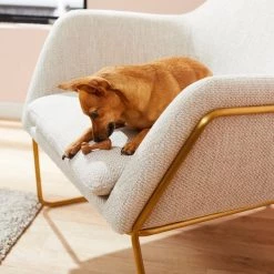 Blue Buffalo Dental Bones Small All Natural Rawhide-Free Dental Dog Treats -Cheap Blue Life Protection || Charming Pet || Cobalt Aquatics Store 73656 PT3. SY630 V1598476262