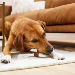 Blue Buffalo Dental Bones All Natural Rawhide-Free Regular Dental Dog Treats -Cheap Blue Life Protection || Charming Pet || Cobalt Aquatics Store 73657 PT3. SY630 V1598473880