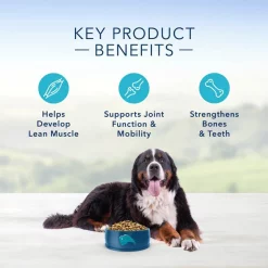 Blue Buffalo Life Protection Formula Large Breed Adult Lamb & Brown Rice Recipe Dry Dog Food 13 Blue Buffalo Life Protection Formula Large Breed Adult Lamb & Brown Rice Recipe Dry Dog Food -Cheap Blue Life Protection || Charming Pet || Cobalt Aquatics Store 84108 PT4. SY630 V1636146705
