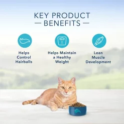 Blue Buffalo Indoor Hairball & Weight Control Chicken & Brown Rice Recipe Adult Dry Cat Food 11 Blue Buffalo Indoor Hairball & Weight Control Chicken & Brown Rice Recipe Adult Dry Cat Food -Cheap Blue Life Protection || Charming Pet || Cobalt Aquatics Store 84166 PT4. SY630 V1565902622