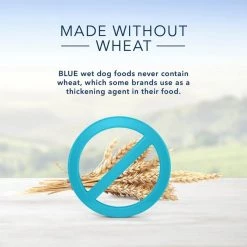 Blue Buffalo Family Favorite Grain-Free Recipes Turkey Day Feast Canned Dog Food 12 Blue Buffalo Family Favorite Grain-Free Recipes Turkey Day Feast Canned Dog Food -Cheap Blue Life Protection || Charming Pet || Cobalt Aquatics Store 85001 PT5. SY630 V1572895727