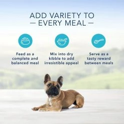 Blue Buffalo Homestyle Recipe Small Breed Chicken Dinner Canned Dog Food -Cheap Blue Life Protection || Charming Pet || Cobalt Aquatics Store 85755 PT4. SY630 V1572895103